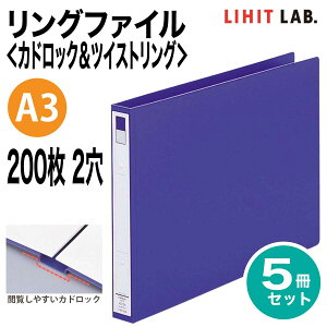 [qgu] 5Zbg Ot@C JhbNcCXgO A3 200 2 E^  t@C oC_[ F-876U LIHIT LAB