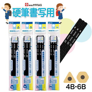 [TNNpX] w dMʗpM 4B 6B Op Zp 3{pbN  K