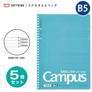 [RN] 5Zbg p꒠ LpX \tgOm[g Z~B5 40 X-S810F13 X-S810F15 pr \tgO O m[g B5 p ܂Ƃߔ