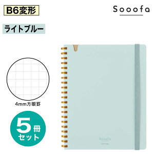 [RN] 5Zbg Sooofa B6ό` \tgOm[g X[t@ 80 X-SV748S4 JbgIt ؂ \tgO O m[g B6 4mm r ^ Г c ܂Ƃߔ