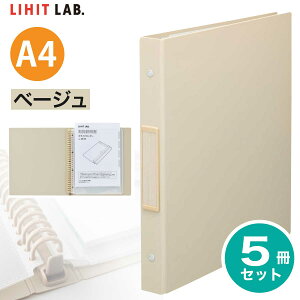 [���q�g���u] 5���Z�b�g Roomy �N�����[�u�b�N A4 10�|�P�b�g �|�P�b�g������ S�^ �t�@�C�� �N���A�u�b�N �|�P�b�g�t�� �t�H���_ �����|�P�b�g �}�`�t���|�P�b�g ���[�~�[ N-290 LIHIT LAB.
