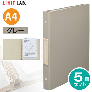 [qgu] 5Zbg Roomy N[ubN A4 10|Pbg |Pbg S^ t@C NAubN |Pbgt tH_ |Pbg }`t|Pbg [~[ N-290 LIHIT LAB.