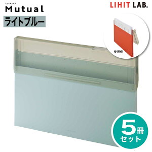 [qgu] 5Zbg Mutual ROXP[X R A-2071 ~[`A t@C  t@CP[X  ރP[X i[ qgu LIHIT LAB.