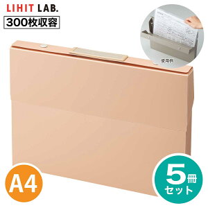 [���q�g���u] 5���Z�b�g �P�[�X�t�@�C�� ���R A-799 Roomy ���[�~�[ �t�@�C�� �� A4 �t�@�C���P�[�X ���� ���ރP�[�X �i�[ ���q�g���u LIHIT LAB.