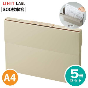 [qgu] 5Zbg P[Xt@C R A-799 Roomy [~[ t@C  A4 t@CP[X  ރP[X i[ qgu LIHIT LAB.