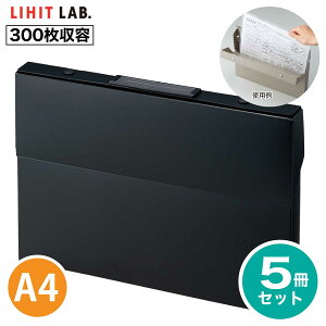 [qgu] 5Zbg P[Xt@C R A-799 Roomy [~[ t@C  A4 t@CP[X  ރP[X i[ qgu LIHIT LAB.