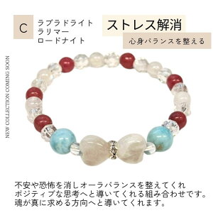 VR p[Xg[ uXbg  {^ 肢  uX ANZT[   N [YNH[c IjLX Ő