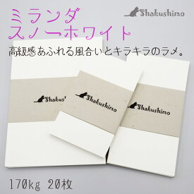 プライスカード 20枚 ミランダ スノーホワイト 白色 きらきら キラキラ ラメ 170kg メッセージカード しゃくしも 値札 メモ おしゃれ 125×90 110×60 91×55 名刺サイズ