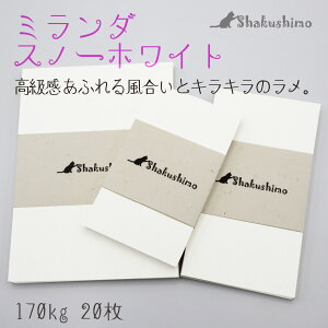 vCXJ[h 20 ~_ Xm[zCg F 炫 LL  170kg bZ[WJ[h Ⴍ lD   125×90 110×60 91×55 hTCY