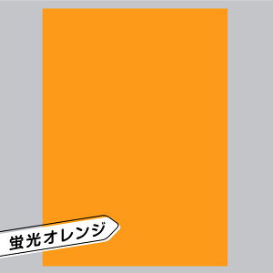 y1OKzuV[ A4 ~m    \t   sN F CG[ Ԟ bh  IW  O[ Xbg t@T 5 5F n V[ 