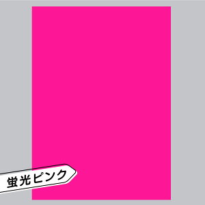 y1OKzuV[ A4 ~m    \t   sN F CG[ Ԟ bh  IW  O[ Xbg t@T 5 5F n V[ 