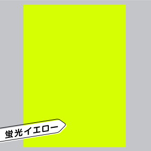 y1OKzuV[ A4 ~m    \t   sN F CG[ Ԟ bh  IW  O[ Xbg t@T 5 5F n V[ 