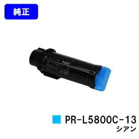 NEC トナーカートリッジ PR-L5800C-13 シアン【純正品】【翌営業日出荷】【送料無料】【MultiWriter 5800C】