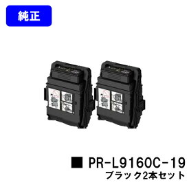 NEC トナーカートリッジ PR-L9160C-19 ブラックお買い得2本セット【純正品】【2～3営業日内出荷】【送料無料】【Color MultiWriter 9160C】