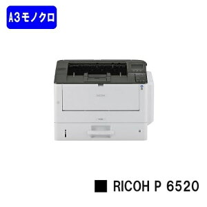 yVizRICOH/R[ lCŐV@IA3mNv^[ RICOH P 6520(514561)y3`5cƓoׁzyz[J[îߑs