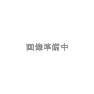 富士フイルムBI(旧ゼロックス) ApeosPrint C3060S/C3560S用トレイモジュール（670枚）(EL301014)【3～5営…