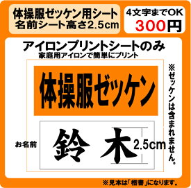 体操服　名前　プリント　シート　H2.5cm　ラバー　ぜっけん