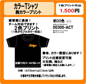 オリジナルTシャツ　片胸チーム名　2色　カラープリント　DTF