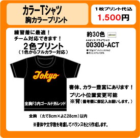 オリジナルTシャツ　全胸チーム名　2色　カラープリント　DTF