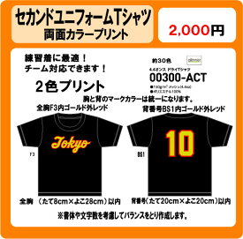 オリジナルTシャツ　胸チーム名　背番号　前番号　2色　カラープリント　DTF