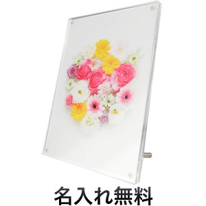 |Cg10{  ANtHgt[ T2L [ʐ^] [LOi] [Mtg] [oYj] [j]