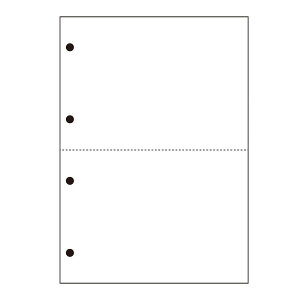 yC[OXӍՂɉXԒ |Cg10{z v^[Jbg ėp}`Jbg X^_[hp  A4 2 4 500×2Zbg SW-W24 y[J[iz