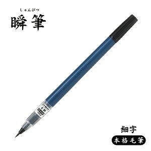 yyVX[p[Z[|Cg10{z PILOT pCbg uM {iѕM ׎ SVS-70FDF-B