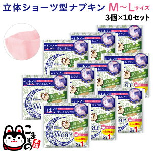 \teB[ p V[c^ivL I[KjbNEFA M-LTCY 3×10Zbg p 30