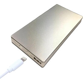 ウイルコム モバイルバッテリー iPhone用 Lightning microUSB デュアル入力 10000mAh ILLU1001-SI シルバー