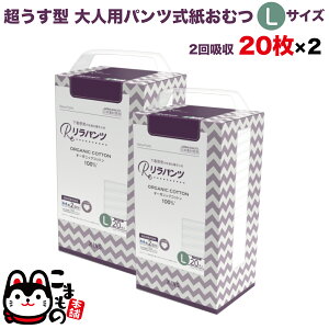 pc lpނ ^ Ic pc I[KjbNRbg 2z LTCY 20×2Zbgyzzʑ  jp p ĝ ЊQ 40