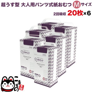 {|Cg10{ pc lpނ ^ Ic pc I[KjbNRbg 2z M 20×6Zbg yzzʑ  jp p ĝ ЊQ 120