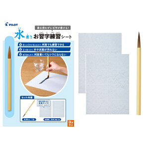 PILOT pCbg KKV[g MS-1S