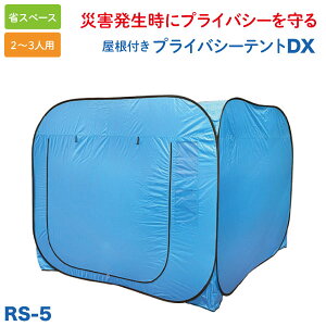 2t vCoV[eg DX 2-3lp ЊQ h  peg ւ vCx[geg ȃXy[X y[J[iz u[