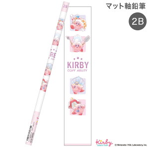 J~IWp }bgM 2B ̃J[rB 306692 COPY ABILITY