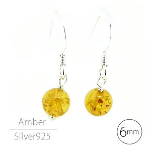 Ao[  6mm VR Vo[925 XCO sAX Vv Vo[ p fB[X Y Mtg v[g