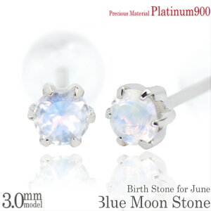 v`i900 Pt900  3mm u[[Xg[ ^6{ X^bh sAX p 6 a fB[X Y Mtg av[g