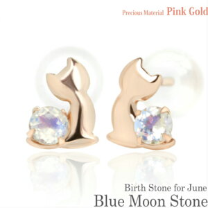 K10 sNS[h K10PG  2.5mm u[[Xg[ u[Lbg qL X^bh sAX 6̒a fB[X Y av[g Mtg