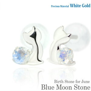 K10 zCgS[h K10WG  2.5mm u[[Xg[ u[Lbg qL X^bh sAX 6̒a fB[X Y av[g Mtg