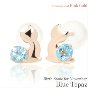 K10 sNS[h K10PG  2.5mm u[gp[Y u[Lbg qL X^bh sAX 11̒a p fB[X Y av[g Mtg