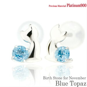 v`i900 Pt900  2.5mm u[gp[Y u[Lbg qL X^bh sAX 11̒a EyA fB[X Y av[g Mtg