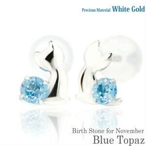 K10 zCgS[h K10WG  2.5mm u[gp[Y u[Lbg qL X^bh sAX 11̒a fB[X Y av[g Mtg