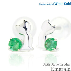 K10 zCgS[h K10WG  2.5mm Gh u[Lbg qL X^bh sAX 5̒a fB[X Y av[g Mtg