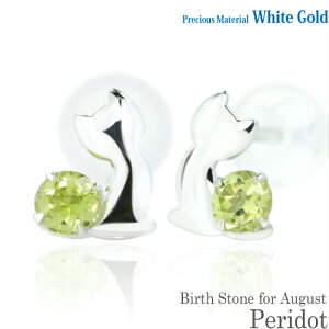 K10 zCgS[h K10WG  2.5mm yhbg u[Lbg qL X^bh sAX 8̒a fB[X Y av[g Mtg