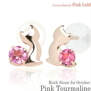 K10 sNS[h K10PG  2.5mm sNg} u[Lbg qL X^bh sAX 10̒a p fB[X Y av[g Mtg