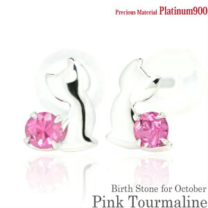 v`i900 Pt900  2.5mm sNg} u[Lbg qL X^bh sAX 10̒a EyA fB[X Y av[g Mtg