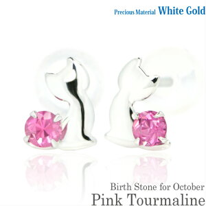 K10 zCgS[h K10WG  2.5mm sNg} u[Lbg qL X^bh sAX 10̒a fB[X Y av[g Mtg