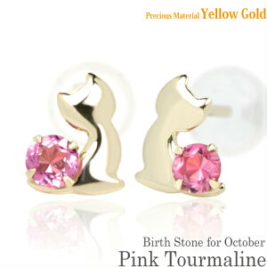 K10 CG[S[h K10YG  2.5mm sNg} u[Lbg qL X^bh sAX 10̒a p fB[X Y av[g Mtg