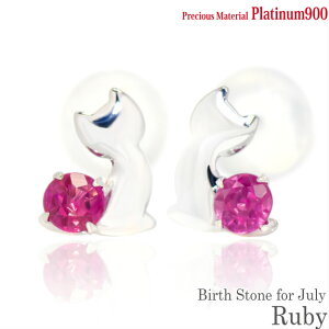 v`i900 Pt900  2.5mm r[ u[Lbg qL X^bh sAX 7̒a EyA fB[X Y av[g Mtg