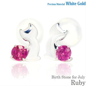 K10 zCgS[h K10WG  2.5mm r[ u[Lbg qL X^bh sAX 7̒a fB[X Y av[g Mtg