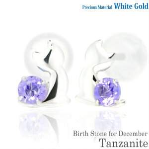 K10 zCgS[h K10WG  2.5mm ^UiCg u[Lbg qL X^bh sAX 12̒a fB[X Y av[g Mtg